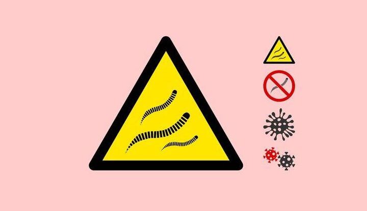 Gefahr von Parasiten für den Körper