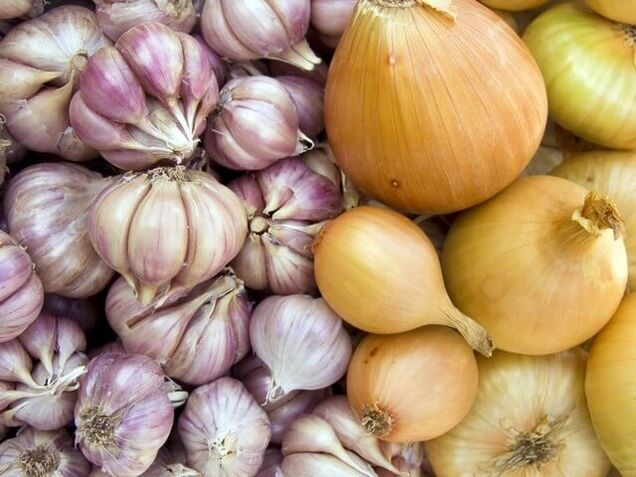 Frische Zwiebeln und Knoblauch, um Würmer loszuwerden.