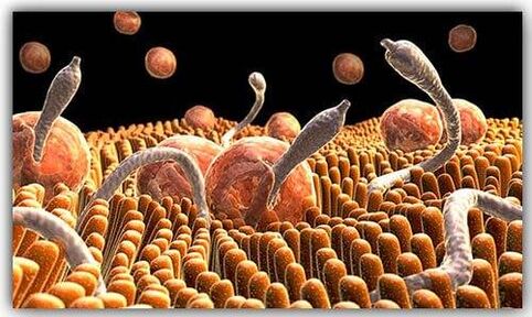 Parasiten im Körper