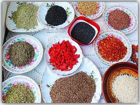 Zimt und Nelken gegen Parasiten